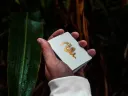 1ST playing cards V3 by Chris Ramsay Thumbnail 5