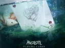 Axolotl Playing Cards by Enigma Cards Thumbnail 11