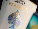 Bicycle Peacock Playing cards Thumbnail 5