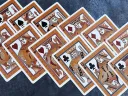 Bicycle Playing Cards - Aurora Thumbnail 5