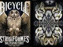 Bicycle Strigiformes Owl Thumbnail 3