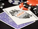 Blue Cohorts Playing Cards Thumbnail 9