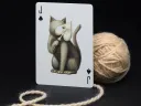 Cabinetarium Playing Cards Thumbnail 13