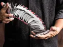 Cardistry Fanning - Red Colour Thumbnail 10