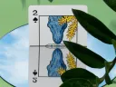 Dinosaur Playing Card Thumbnail 3