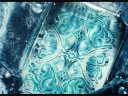 Fathom Playing Cards Thumbnail 18