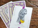 Florentia Playing Cards - Antica Thumbnail 5