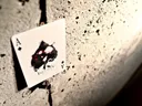 Infinity Playing Cards Thumbnail 5