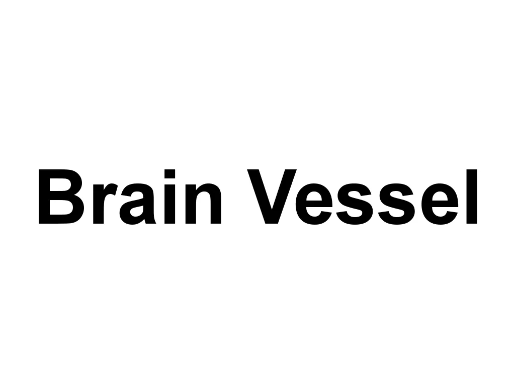 Brain Vessel is a creative company that produces artistic playing cards, puzzles, and other unique products. Their designs are inspired by a blend of fantasy, science fiction, and steampunk, making them highly collectible and visually