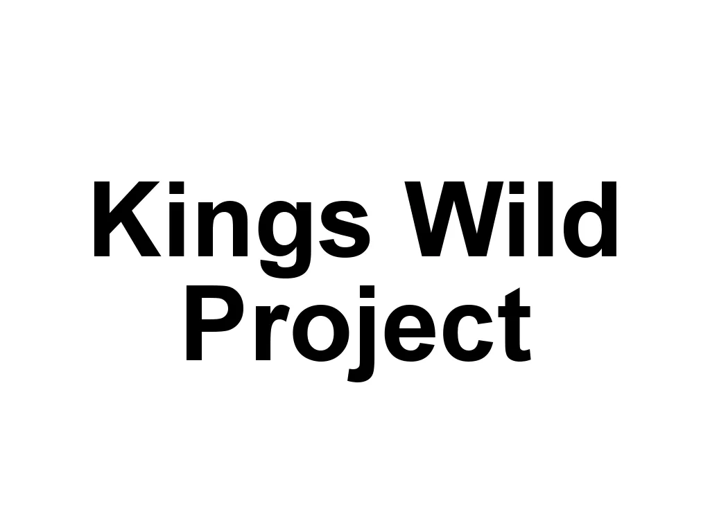 Kings Wild Project is a company known for producing high-quality and artistically designed playing cards. Their decks are crafted with attention to detail and often feature unique themes, making them a favorite among collectors and