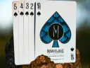 Marvelous Hummingbird Feathers Playing Cards Blue Thumbnail 5