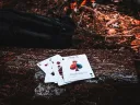 Peak 15 Playing Cards Thumbnail 7