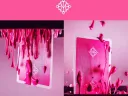 Pink Madison Rounders Playing Cards Thumbnail 4