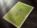 Poison Aspis Playing Cards Thumbnail 5