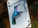 Red Marvelous Hummingbird Feathers Playing Cards Thumbnail 5