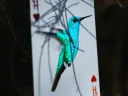 Red Marvelous Hummingbird Feathers Playing Cards Thumbnail 6