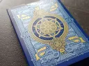 SINS Blue Mentis Playing Cards Thumbnail 10