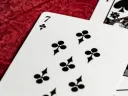 Stone Garden Playing Cards Thumbnail 4